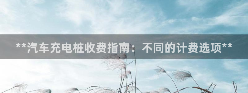 威廉希尔大小球水位：**汽车充电桩收费指南：不同的计费选项**