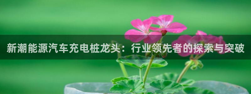 威廉希尔在中国有没有平台工作：新潮能源汽车充电桩龙头：行业领先者的探索与突破
