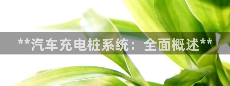 威廉希尔年销售总额：**汽车充电桩系统：