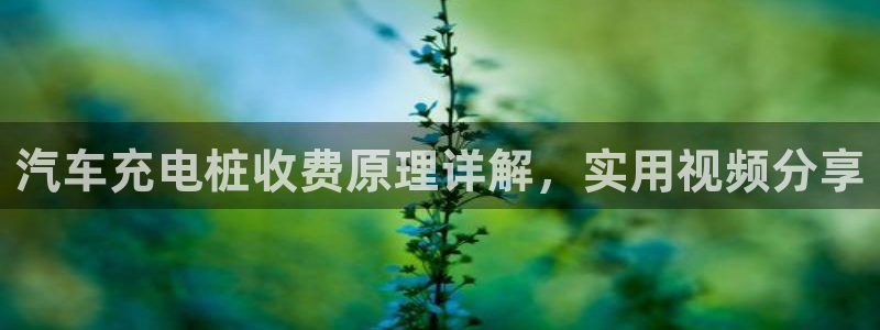威廉国际是个啥东西：汽车充电桩收费原理详解，实用视频分享