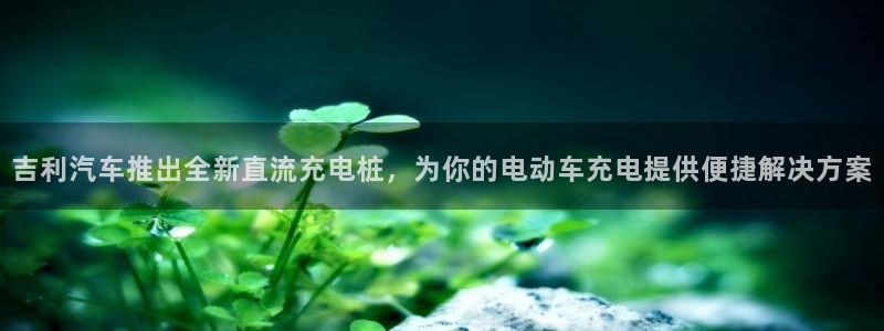 威廉希尔500数据：吉利汽车推出全新直流充电桩，为你的电动车充电提供便捷解决方案