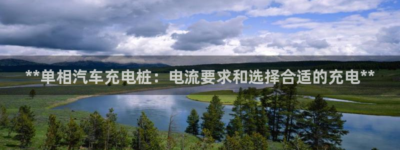 威廉希尔与立博技巧：**单相汽车充电桩：