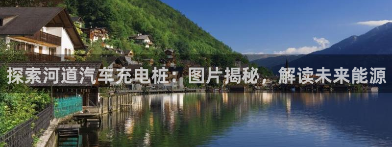 威廉国际网站是什么
