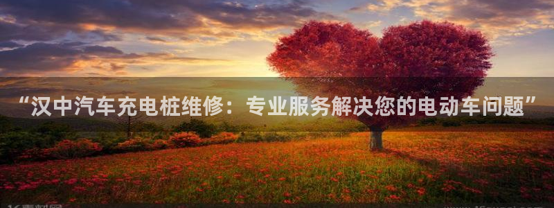 威廉希尔足球官网 百科