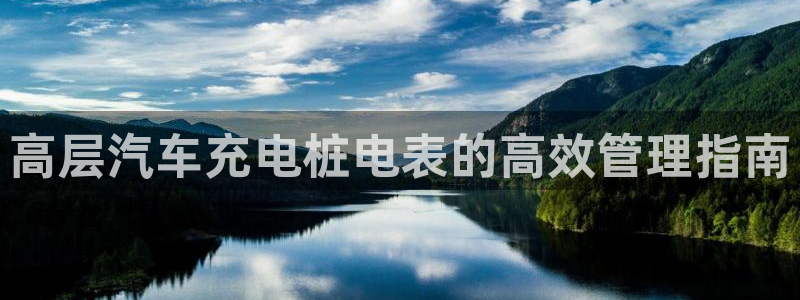 威廉希尔不开盘的比赛是什么结果呢英文：高层汽车充电桩电表的高效管理指南
