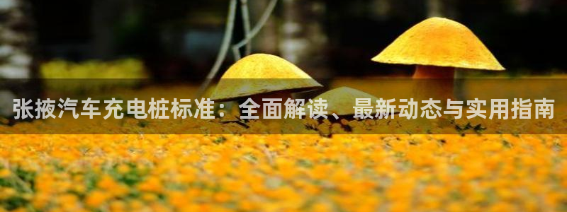 如何看懂威廉希尔指数：张掖汽车充电桩标准