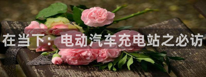 威廉希尔分析和结论：在当下：电动汽车充电