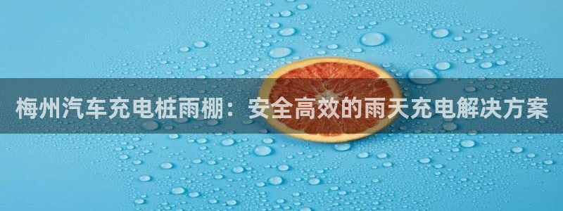 威廉希尔和inter：梅州汽车充电桩雨棚