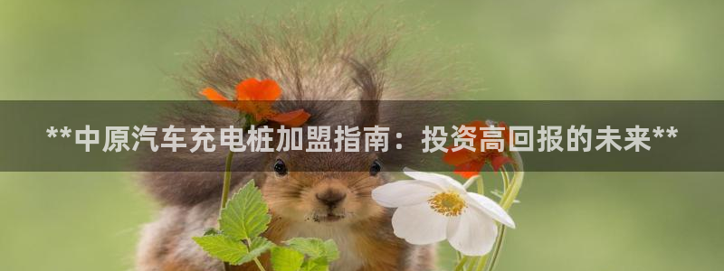 威廉希尔中文网站是不是真的假的：**中原