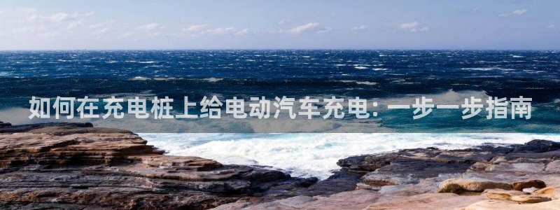怎么在威廉希尔买球：如何在充电桩上给电动