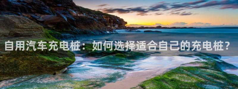 威廉篮球：自用汽车充电桩：如何选择适合自己的充电桩？