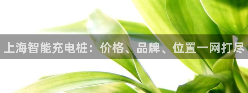 威廉希尔公司百度百科：上海智能充电桩：价格、品牌、位置一网打尽