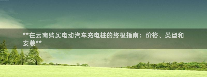 威廉希尔能提现吗：**在云南购买电动汽车