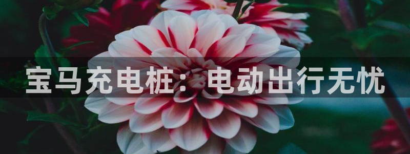 威廉希尔欧洲官网：宝马充电桩：电动出行无忧