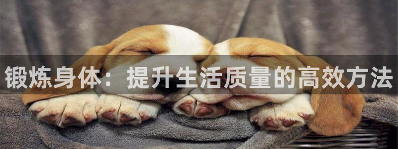 谈球吧体育官网